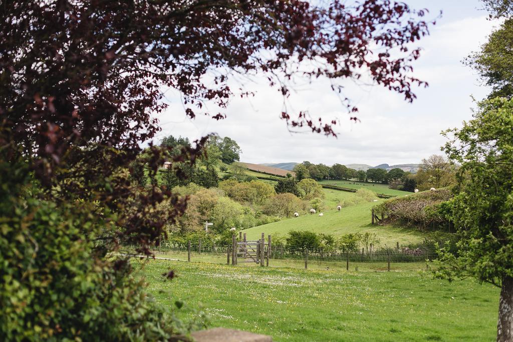 Pwllgwilym B & B Builth Wells Buitenkant foto