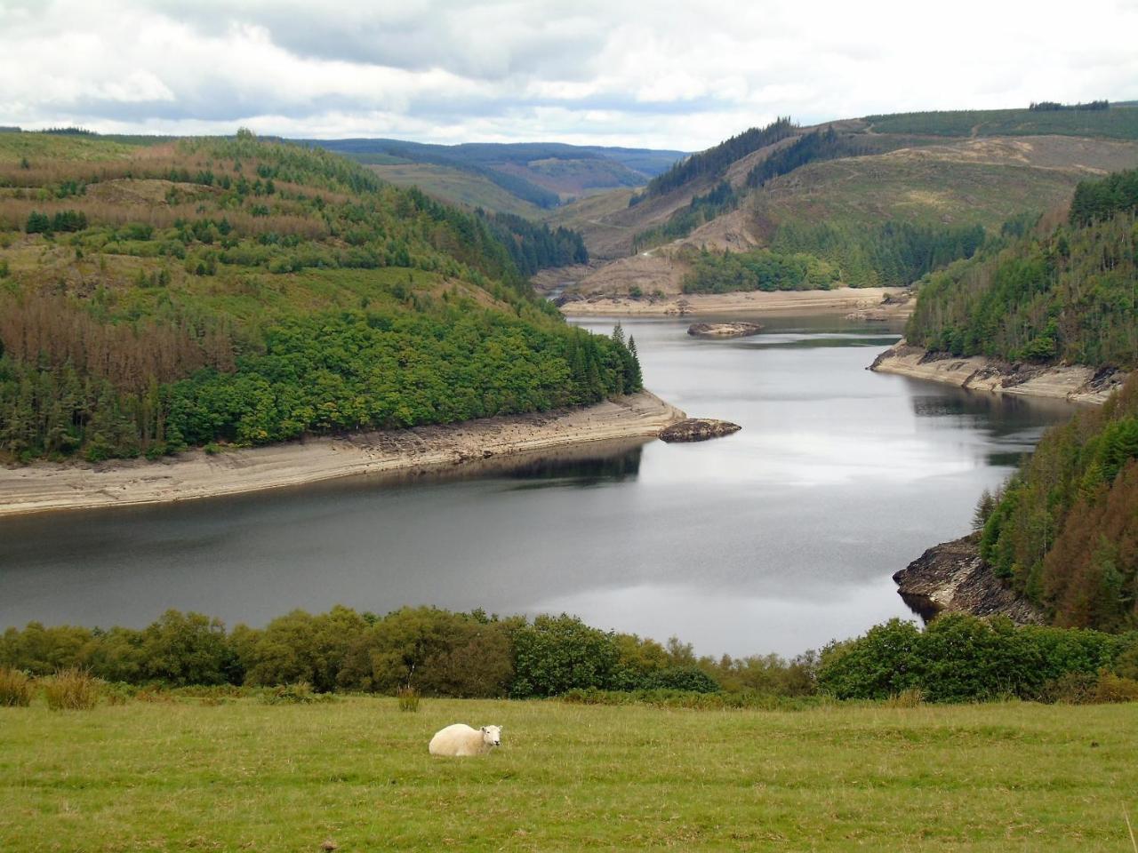 Pwllgwilym B & B Builth Wells Buitenkant foto