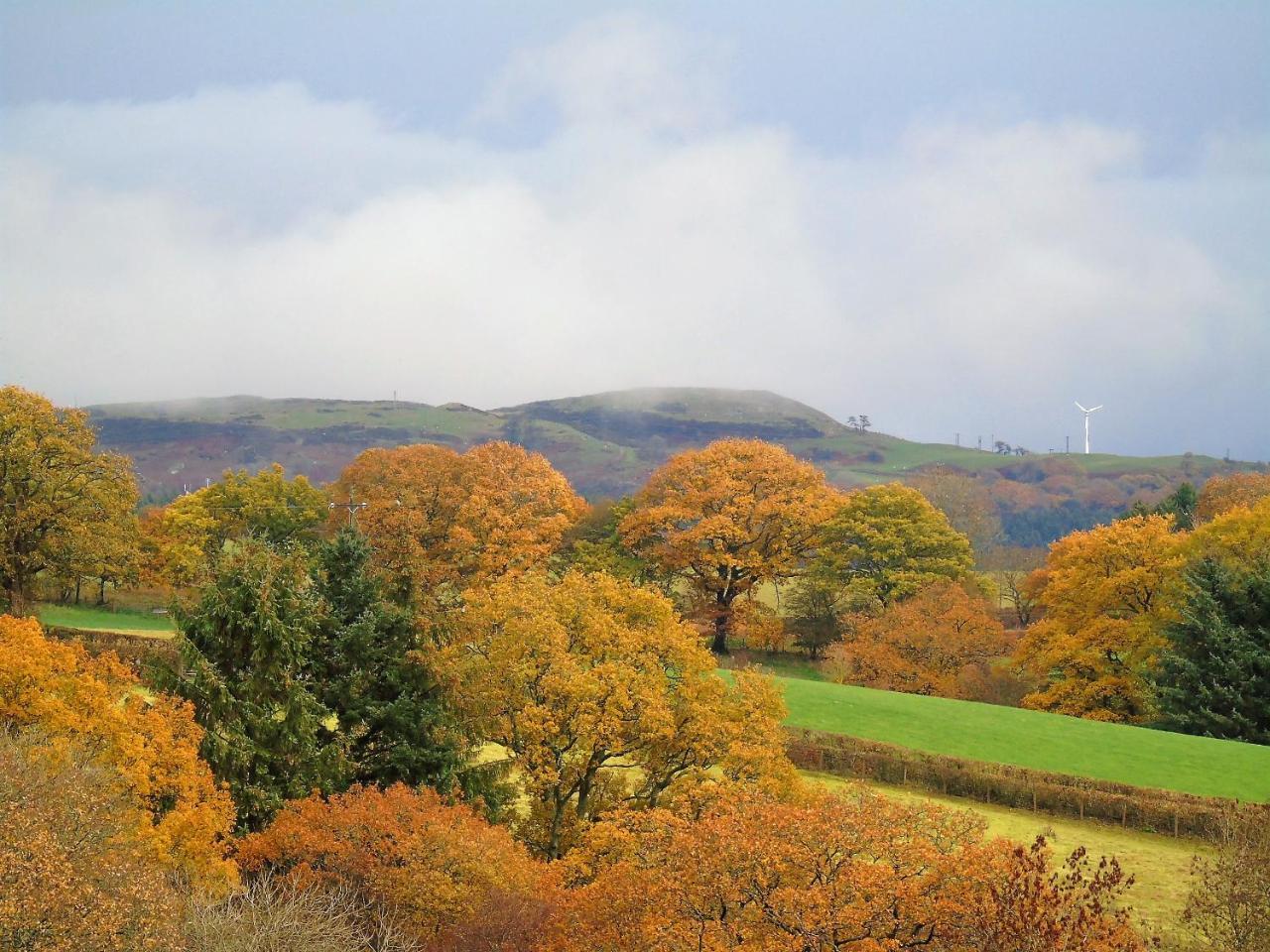 Pwllgwilym B & B Builth Wells Buitenkant foto